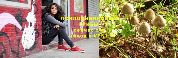 молекула духа Алзамай
