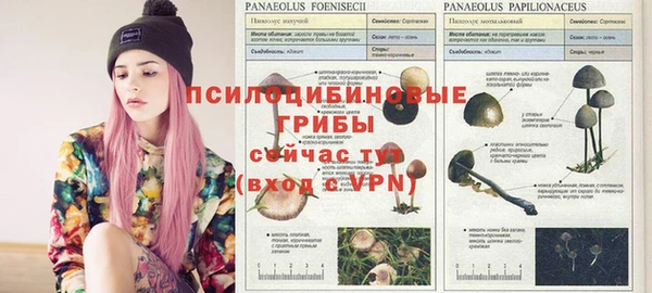 дмт Алексеевка