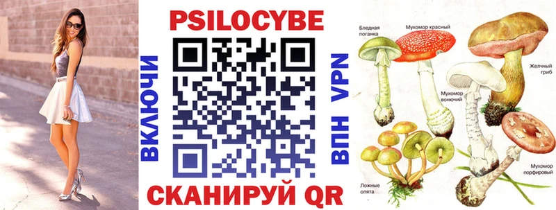 как найти   Алексеевка  Псилоцибиновые грибы прущие грибы 