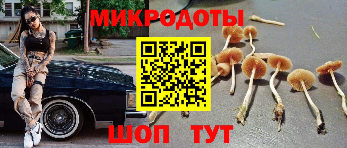 Псилоцибиновые грибы Psilocybe  Вход с VPN  Алексеевка 